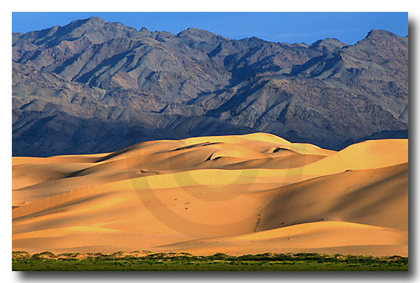 Dunes at Hongrin Els