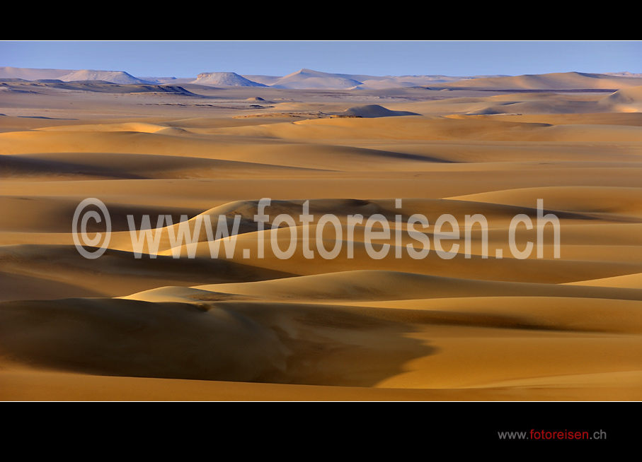D�nen im Sandmeer
