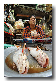 Fisch�ndlerin