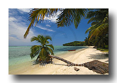 Palmenstrand Madagaskar