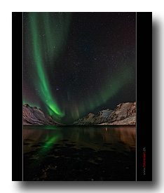 Nordlicht �ber dem Fjord