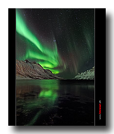 Starkes Nordlicht �ber dem Fjord