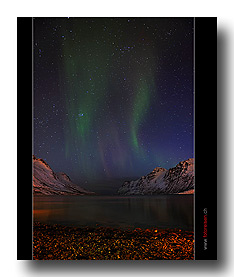 leichtes Nordlicht �ber dem Fjord