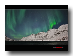 Polarlicht �ber dem Fjord